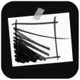 Dessin Du Jour