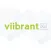 Viibrant XE