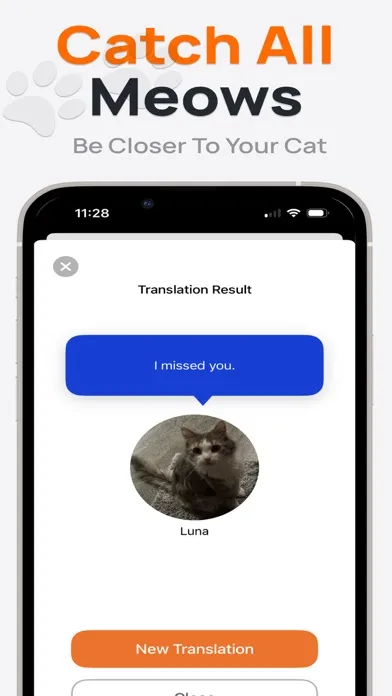 Cat Translator Meowlingo Ekran Görüntüleri