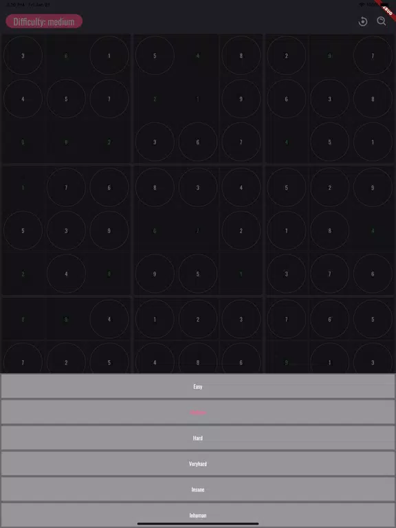 Torym Sudoku iPad  Screenshots