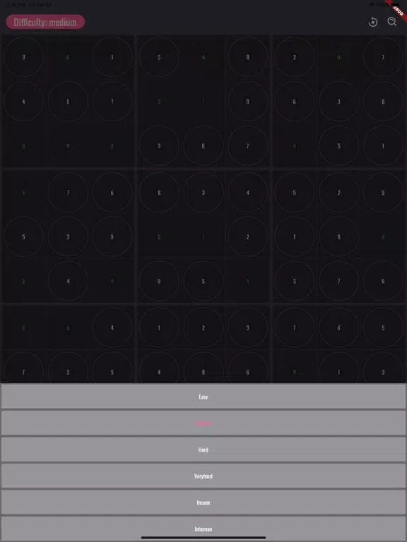 Torym Sudoku iPad 应用截图