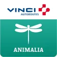 ANIMALIA by VINCI Autoroutes
