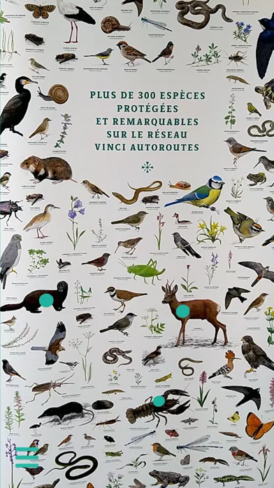 ANIMALIA by VINCI Autoroutes Screenshots