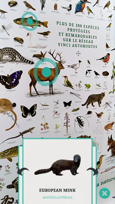 ANIMALIA by VINCI Autoroutes Screenshots