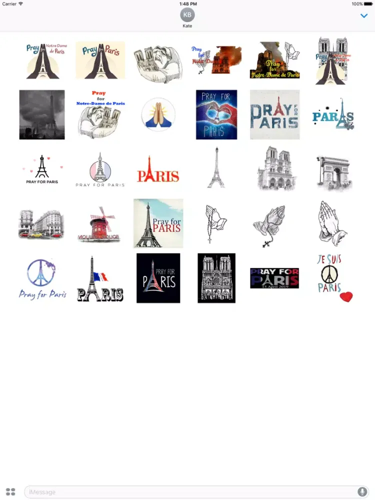 Pray For Notre Dame de Paris iPad  Screenshots