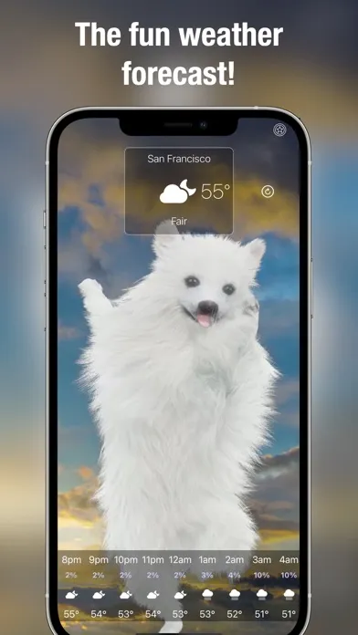 Dog Weather Live应用截图