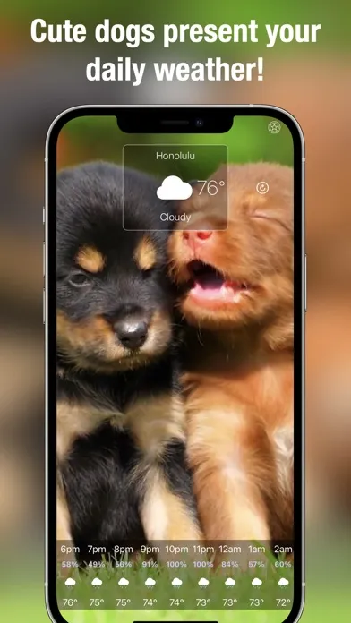 Dog Weather Live应用截图