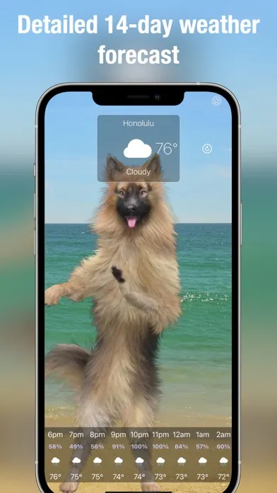 Dog Weather Live应用截图