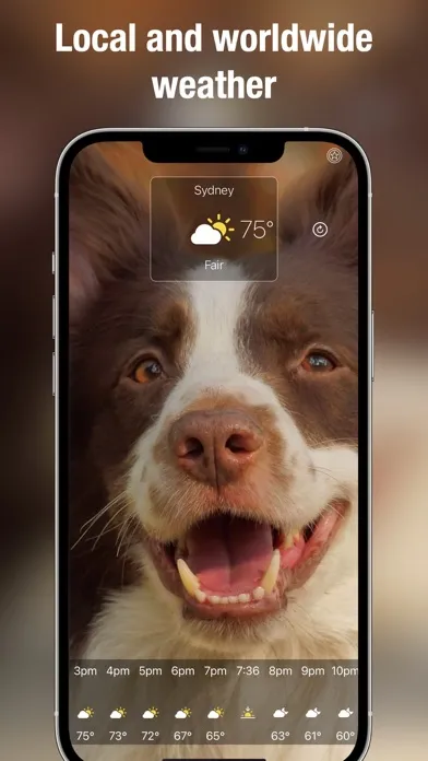 Dog Weather Live应用截图