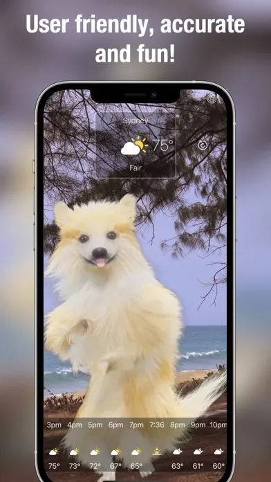Dog Weather Live应用截图