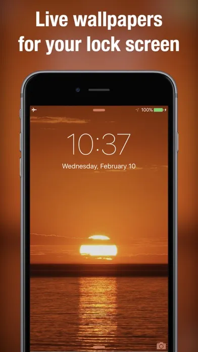 Live Wallpapers & Backgrounds+ स्क्रीनशॉट