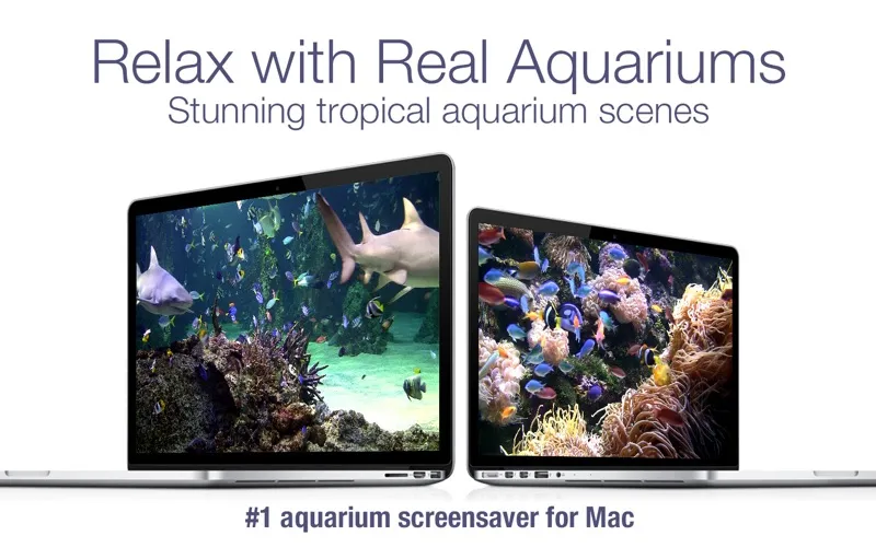 Tangkapan layar Aquarium Live HD+ Screensaver