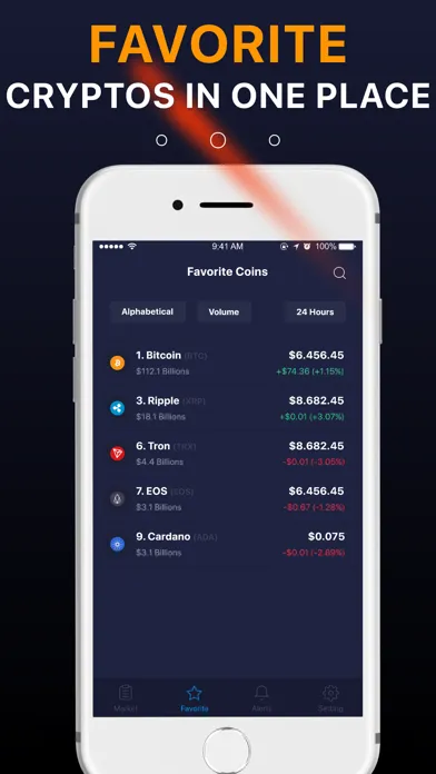 Realtime Crypto Market Tracker Screenshots