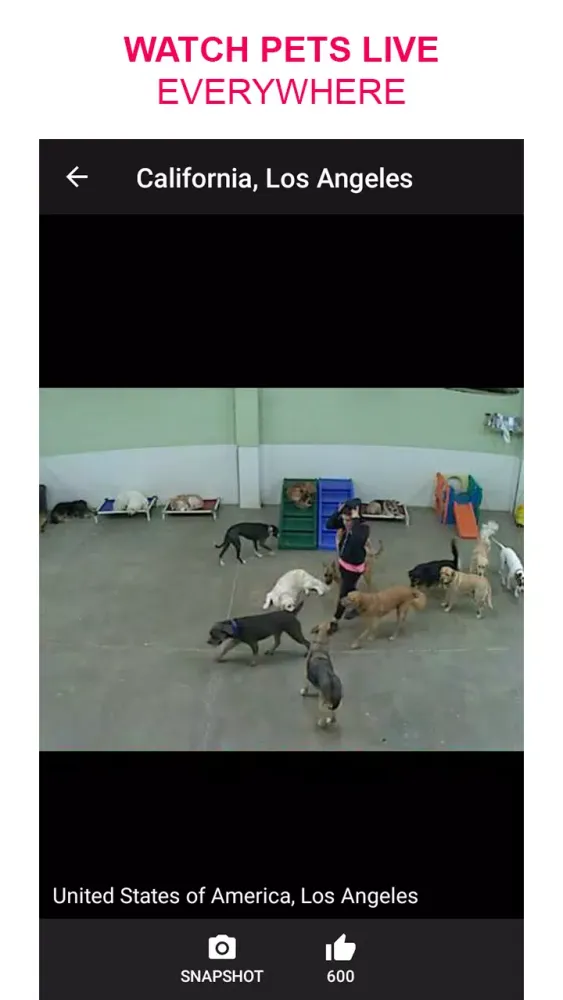 Capturas de pantalla de Live Camera Viewer