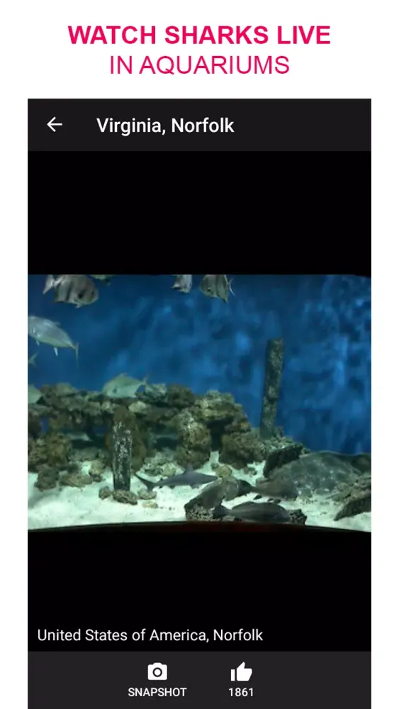 Capturas de pantalla de Live Camera Viewer