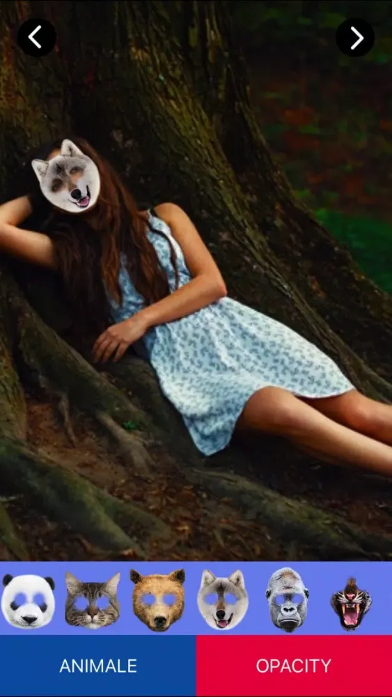 Screenshot di Animal Face Swap - Funny Face Photo Montages Maker
