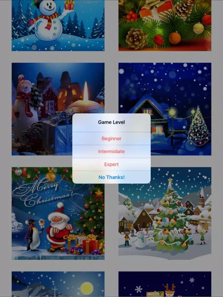 Christmas Photo Sliding Puzzle iPad  स्क्रीनशॉट