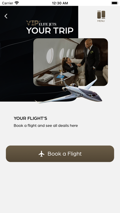Скриншоты VIP Elite Jets