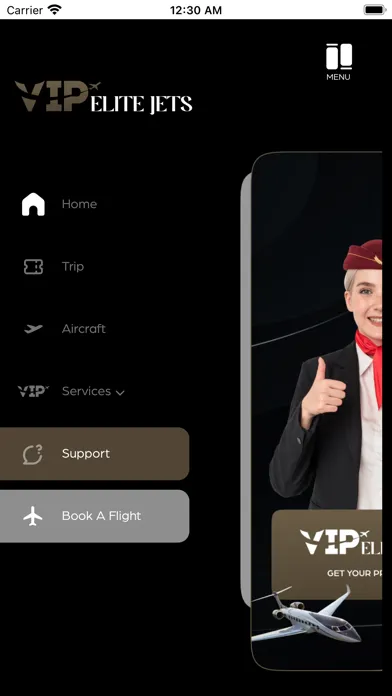 Ảnh chụp màn hình của VIP Elite Jets