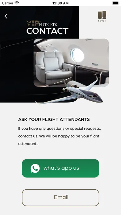 Ảnh chụp màn hình của VIP Elite Jets