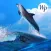 Ocean - Sea World HD Wallpapers / Backgrounds Free