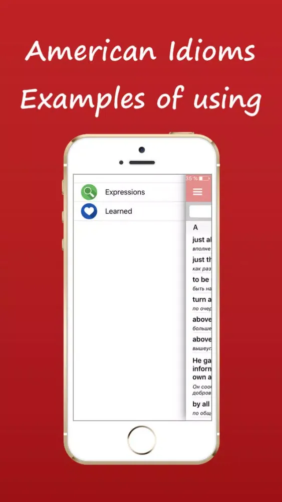 American Idioms, Examples of using Screenshots