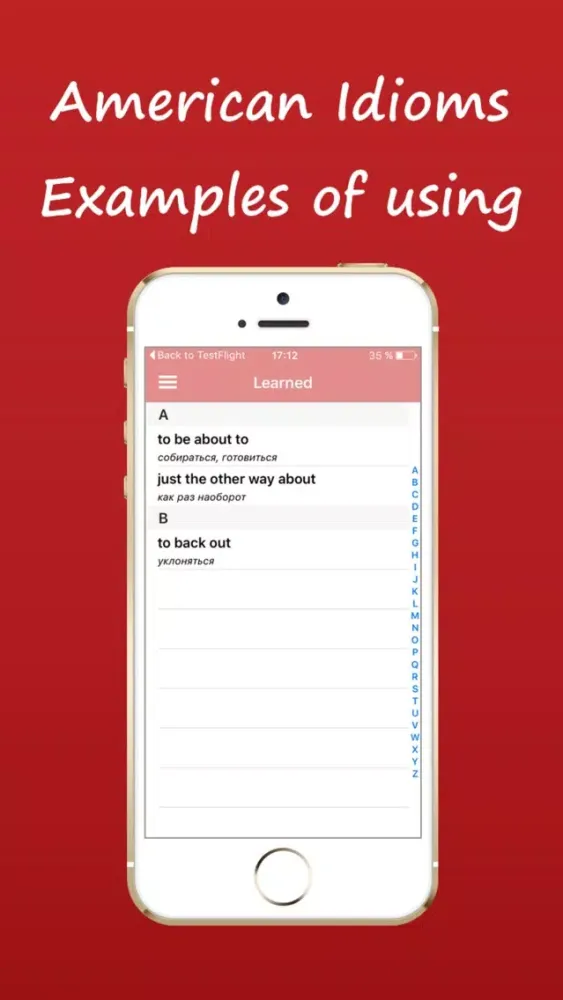 American Idioms, Examples of using Screenshots