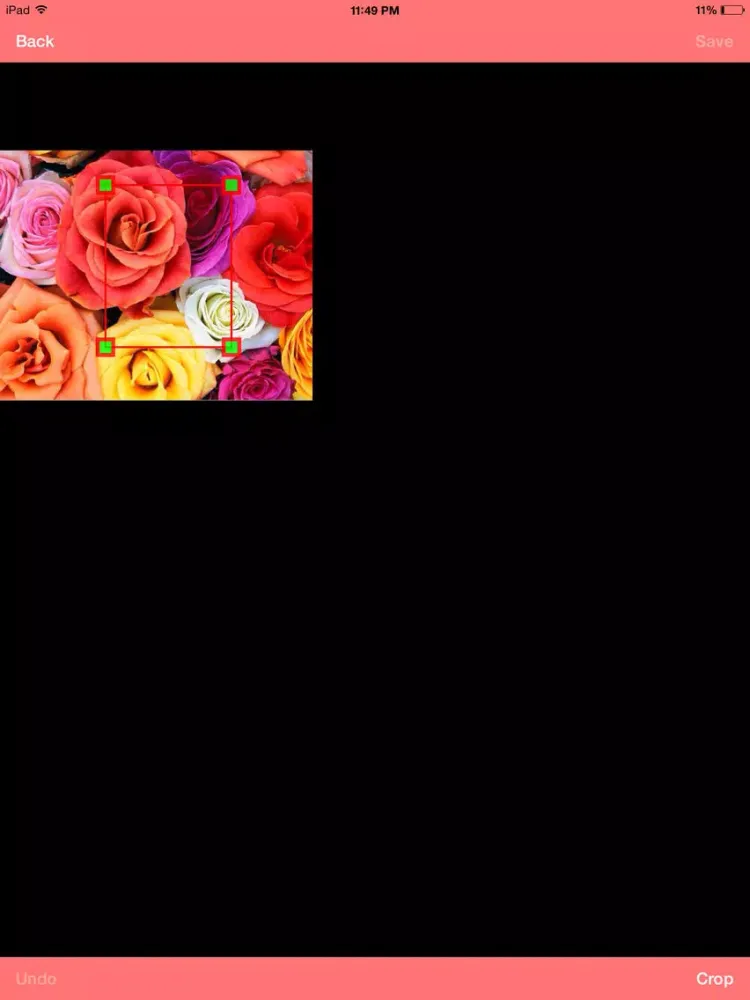 Capturas de tela do Simple Photo Cropper iPad 