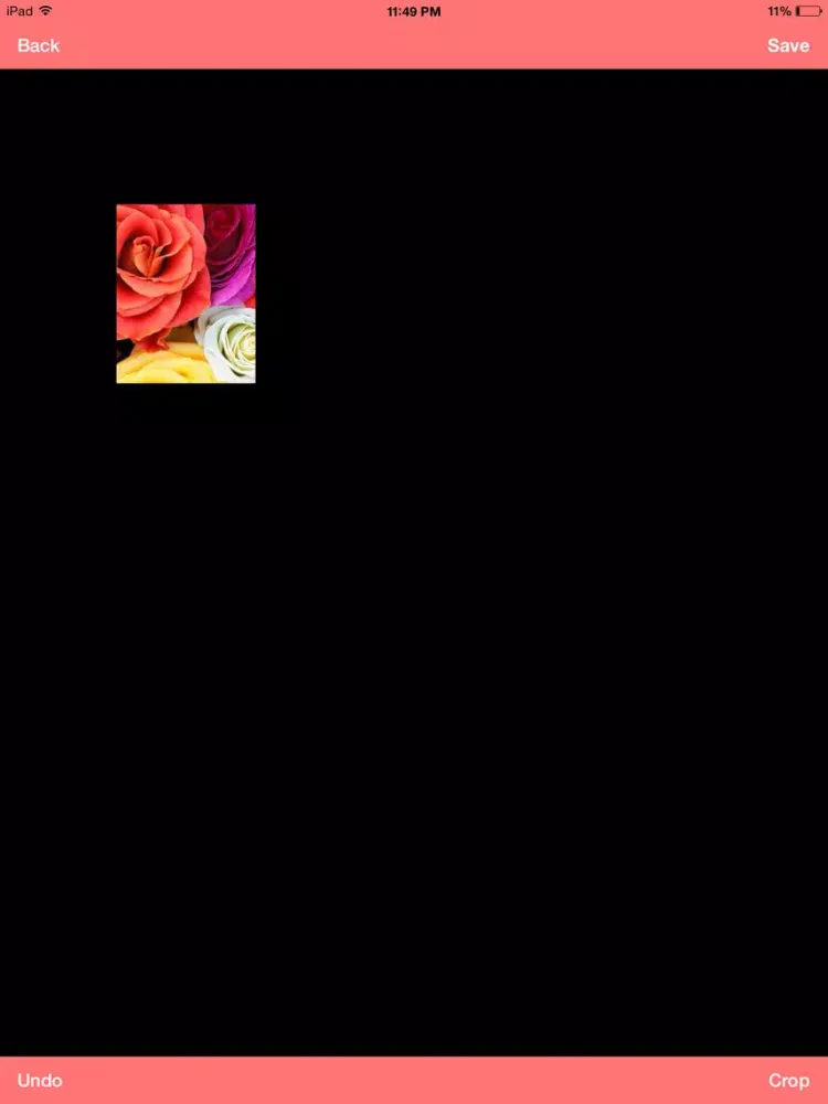 Capturas de tela do Simple Photo Cropper iPad 