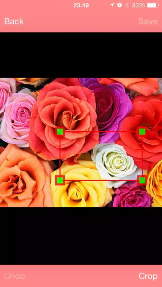 Capturas de tela do Simple Photo Cropper