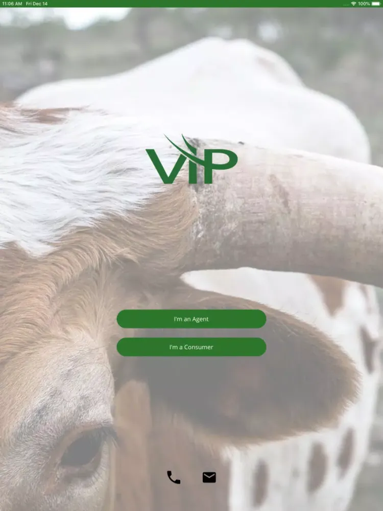 صور VIP Life Insurance Quotes iPad 