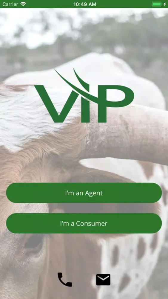 صور VIP Life Insurance Quotes