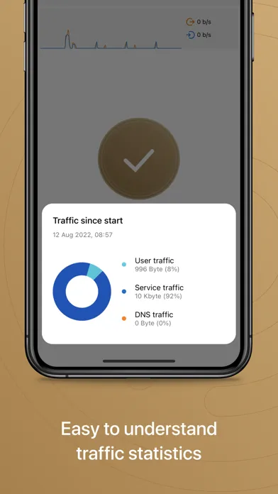 Tangkapan skrin Protelion VPN