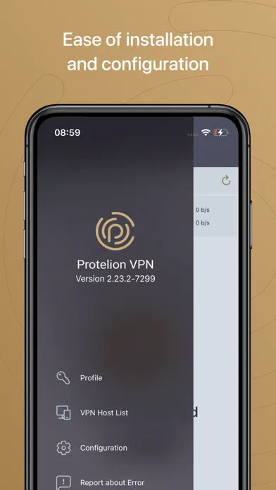 Tangkapan skrin Protelion VPN