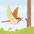 WoodPecker - The Tree Trunk Breaker !!