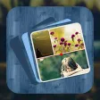 Pics Montage - Best ever photo collage creator!
