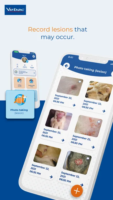 Virbac DailyDerma Monitoring应用截图