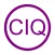 Cognitive IQ