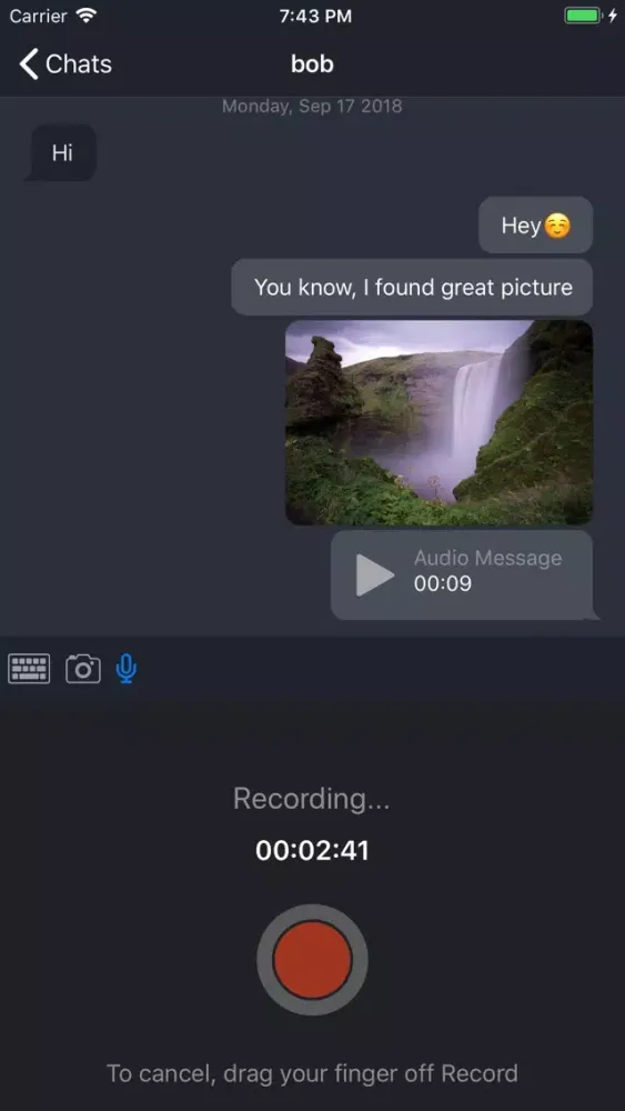Screenshot di Virgil Messenger