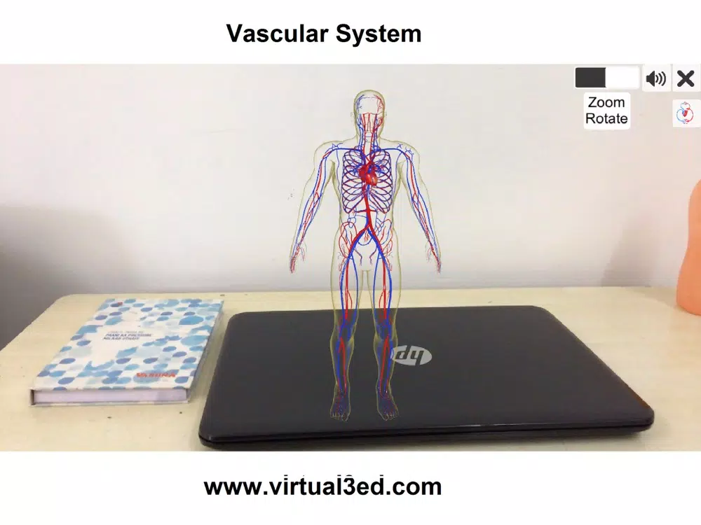 AR Vascular system iPad  Screenshots