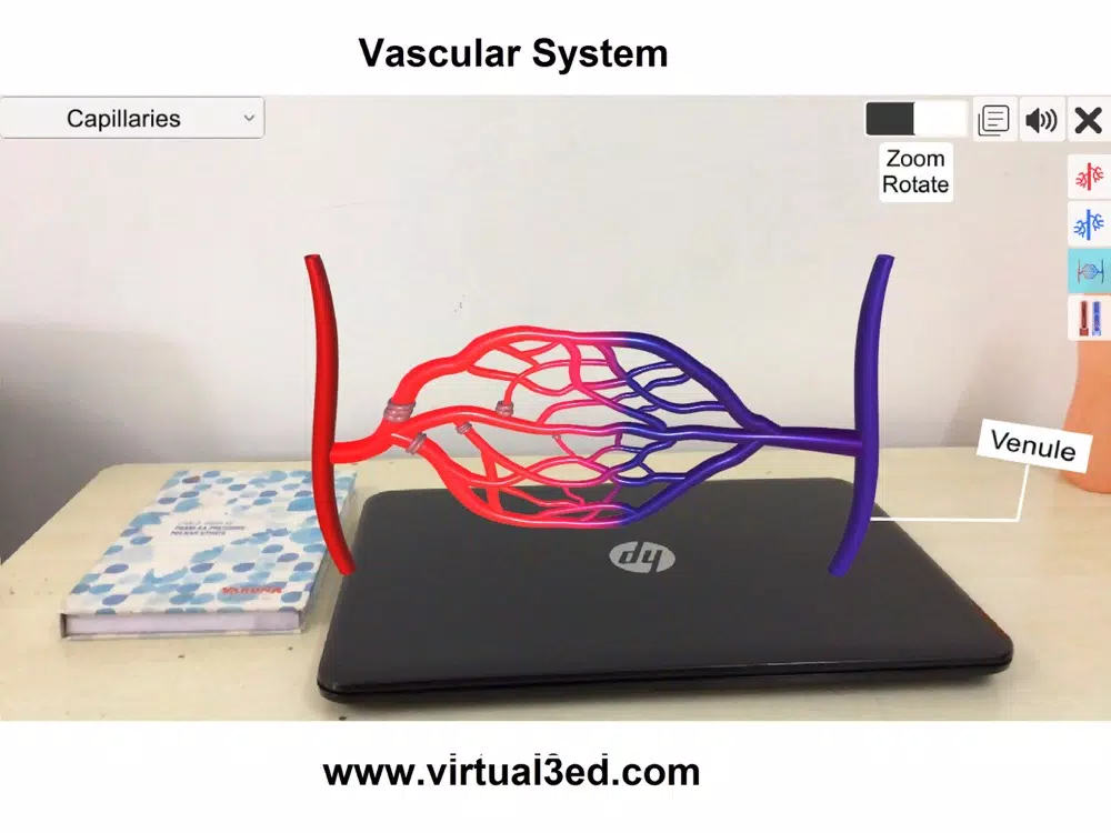 AR Vascular system iPad  Screenshots