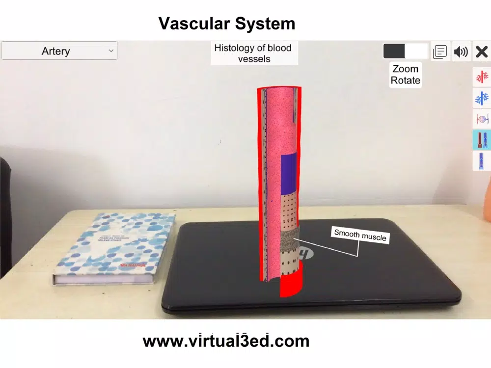 AR Vascular system iPad  Screenshots