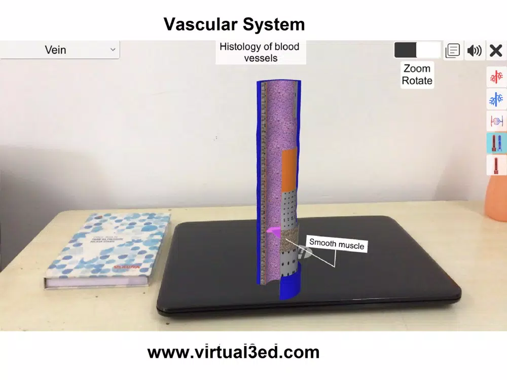 AR Vascular system iPad  Screenshots
