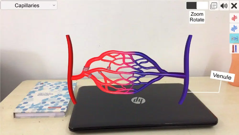 AR Vascular system Screenshots