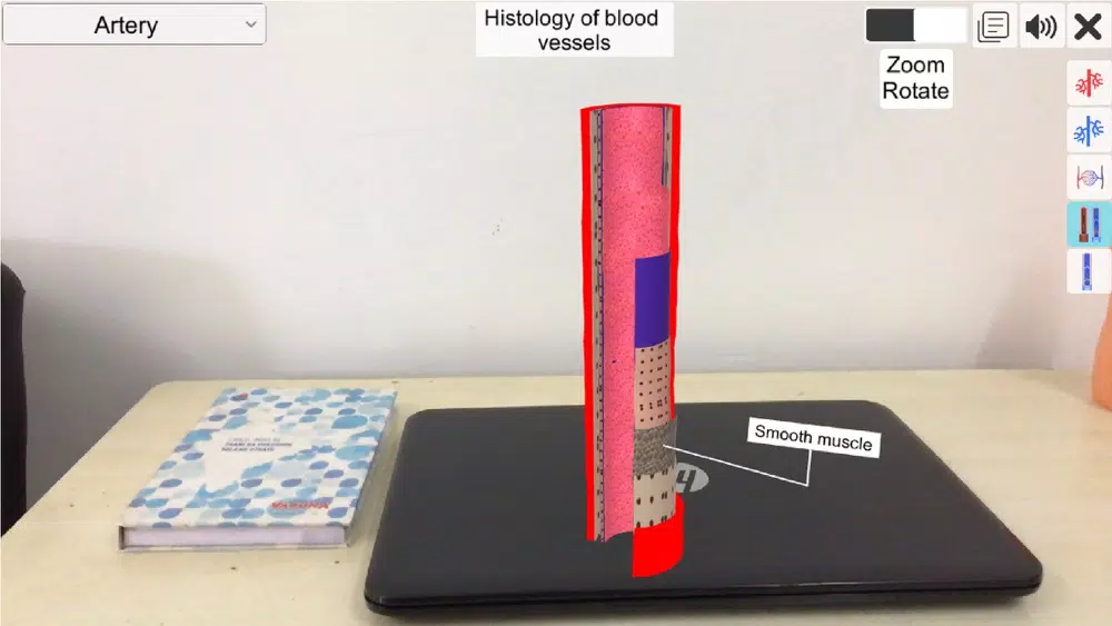 AR Vascular system Screenshots