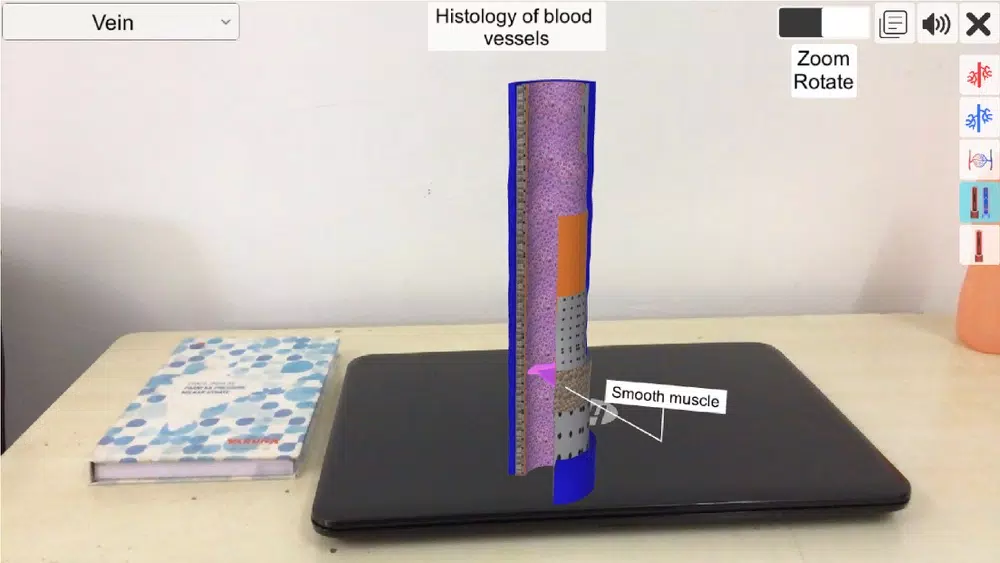 AR Vascular system Screenshots