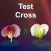 Test Cross: pea flower