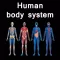 The Amazing Human System