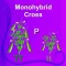 Monohybrid Cross