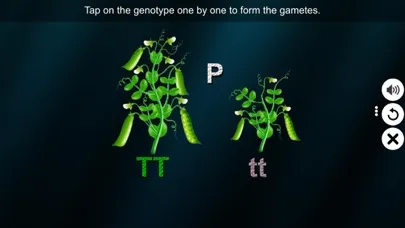Monohybrid Cross應用截圖